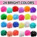 HNYYZL Hair Ties for Girls - 2000PCS Rubber Bands in 24 Colors with Organizer Box - Hair Accessories for Toddlers & Babies - Elastic Hair Bands & Snap Clips Set - Buy Online on GoSupps.com