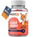 MIGHTY FOX VITAMINS Elderberry Gummies for Kids with Sambucus Echinacea Propolis and Vitamin C - 100% Vegan Gluten Free Non GMO Raspberry Flavor - 100 Count (100 Count)