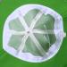 SAOROPEB Adult Cute Frog Bucket Hat | Funny Fisherman Cotton Hat for Men Women - Green - Buy Online on GoSupps.com
