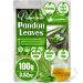 Lavendium Premium 100g (3.52oz) Pandan Leaves 100% Natural & Pure from Dried Pandan Leaves Pandan Leaf Tea No Additives No Caffeine Vegan. CA
