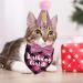 JOTFA Cat Birthday Party Supplies Cat Birthday Outfits Cat Kitten Birthday Girl Bandanas with Cat Birthday Hat Crown Cat Bow Tie Birthday Number for Cat Kitten Birthday Decorations (Pink) Pink Plaid - Buy Online on GoSupps.com