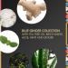 MBIB Clarifying Sulfate-Free Shampoo for Dry & Damaged Hair - Blue Ginger & Mint | 9.6 fl oz - Buy Online on GoSupps.com