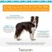 Herbsmith Athlete Canine Endurance Supplement 500g Powder - For Working and Agility Dogs - Buy Online on GoSupps.com