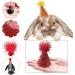 PET SHOW 10pcs Mini Small Dog Hats Cat Birthday Party Hat Rabbit Hats for Holiday Wedding Puppies Kittens Costume Accessories 10pcs Mini Hats - Buy Online on GoSupps.com