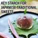 Japanese Premium Arrowroot Powder 180g - Gluten-Free, Vegan Handmade Starch Flour - YAMASAN - Buy Online on GoSupps.com