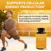 Vitamin C with Zinc 1000mg + 20mg - Immune Support & Antioxidant Formula (250 Veg Caps) - Buy Online on GoSupps.com