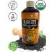 Buy Wellness USDA Organic Blackseed Cold Pressed Oil Nigella Sativa Premium Black Cumin Oil High Thymoquinone Powerful Omega rich oil 12 oz - Buy Online on GoSupps.com
