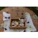 Vintage New Baby Gift Set with Crochet Rattle (Deer/Elk) | Newborn Baby Shower Gift Box for Boy and Girl - Buy Online on GoSupps.com