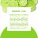 Schmidt's Aluminum-Free Natural Deodorant - Bergamot & Lime, 24-Hour Odor Protection, Vegan & Cruelty-Free, 2.65 oz - Buy Online on GoSupps.com