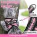 Rabbitgoo Adjustable Cat Dishes Set with Leash - Soft Reflective Stripes for Cats & Kittens - Pink (1 Pack) - Buy Online on GoSupps.com