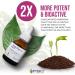 Allergy Lift Gemmotherapy - 50ml Budding Plant Stem Cell Extract | Natural Allergy Relief - Buy Online on GoSupps.com