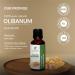 Buy Olibanum Oil 15 ML | 100% Pure Boswellia Serrata Essential Oil | Therapeutic Grade | International Shipping Available - Buy Online on GoSupps.com