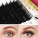 Classic Individual Eyelash Extensions 8mm B Curl | 0.15mm | Lightweight Short Bottom Lashes for Salons | Grafting Supplies | Matte Black - Buy Online on GoSupps.com