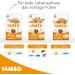 IAMS Senior Dry Cat Food with Chicken - 1.5 kg | Premium Dry Food for Cats 7+ Years - Buy Online on GoSupps.com