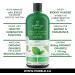 Organic Liquid Greens Chlorophyll Sampler - 4 Organic Grasses - 400mg / svg - Detox - Alkaline - Natural Body Deodorant Antioxidant - Made in Canada (2 X 60ml) - Buy Online on GoSupps.com