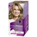 Schwarzkopf - Perfect Mousse - Hair Color - Permanent Mousse without Ammonia - Care Mask 96% ingredients of natural origin - Blonde 800 1 Unit (Pack of 1)