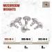Rig'Em Right Waterfowl Mushroom Weights - 8 oz | Deep Water Decoy Rigging in Windy Hunting - Buy Online on GoSupps.com