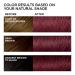 L'Oreal Paris Feria Crushed Garnet Hair Color 41 - Pack of 2 Permanent Hair Dye - Rich Mahogany Shade - Buy Online on GoSupps.com