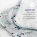 Bambino Mio Portable Changing Mat - Lightweight & Foldable for On-the-Go | Cheeky Fruits - Buy Online on GoSupps.com