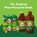 V8 Original 100% Vegetable Juice 11.5 FL OZ Can - Pack of 24 - Tomato Juice Blend - Buy Online on GoSupps.com