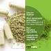 ANDREW LESSMAN 5-HTP 100-120 Capsules | Enhance Sleep Quality & Mood | Ultra-Pure 5-HTP | No Additives | 120 Count - Buy Online on GoSupps.com