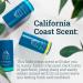 Oars + Alps Aluminum Free Deodorant for Men and Women Dermatologist Tested and Made with Clean Ingredients Variety 3 Pack 2.6 Oz Each 3ct - Variety 2.6 Ounce (Pack of 3) - Buy Online on GoSupps.com