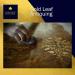 Gold Leaf Gilding Kit - 100 Sheets Imitation Gold & Silver Leaf with Adhesive, Sealer, Gloves, Brushes, and Sanding Tools - Buy Online on GoSupps.com