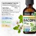 BIO KRAUTER Bacopa Tincture 2 Fl. Oz. & Ginkgo Biloba 90 Gummies - Buy Online on GoSupps.com