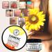 Hemp360 Organic Turmeric Raw Lotion with Lemon & Ginger - Hemp Infused | Buy Now - Buy Online on GoSupps.com