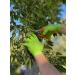 Nitrile Gloves 8 Mil Diamond Textured - Durable Puncture Resistant Industrial Grade Safety Work Food Safe Green Gloves Large 110 - Buy Online on GoSupps.com