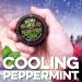 Gnarly Joe Refreshing Peppermint Beard and Face Exfoliant Wash and Scrub 50g - Buy Online on GoSupps.com