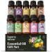 Essential Oils Set - Top 10 Organic Therapeutic-Grade Gift Set Blends for Fragrance, Diffusers, Humidifiers, Aromatherapy, Massages, Office, Soap Scents, Candle Making, Slime - Skin & Hair (10mL) 10-Pack w Gift Box | Organic Essential Oils Set