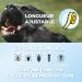 Ubica Flea Cat Collar and Tick collar for cats - Formula based on organic essential oils of Citronella - safe and 100% WATERPROOF FREE 3 tick tweezers - Buy Online on GoSupps.com