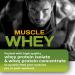 MFL Muscle Whey Protein 5 lbs l 26g of Protein l 8g BCAAs l 6g Glutamine l Low Carbs l 69 Servings (Banana Cream) - Buy Online on GoSupps.com