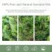 Pine Needles Essential Oil 30ML - 100% Pure Therapeutic Grade Natural Oil for Diffusers | Aromatherapy for Relaxation | 1 Pack - Buy Online on GoSupps.com
