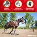 Buy EGGERSMANN My Horse Feed Professional Joint Active 1 kg - Supplementary Feed for Tendons & Joints - Supports Natural Vitality & Joy of Movement for Horses & Ponies - Buy Online on GoSupps.com