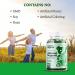 Wild & Organic Adrenal Support Gummies - Energy, Stress Relief & Calm - Vegan - 60 Chews - Buy Online on GoSupps.com