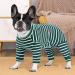 Buy Axcimond Long-Sleeved Dog Body - Post-Op Wound Protection for Small & Medium Dogs - 2XL Green | Anti-Leak Dog Cone Alternative - Buy Online on GoSupps.com