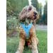 Flossie and Floof Oxford Oasis Design Dog Bow Tie - Velcro Attachment for Collar or Harness - Buy Online on GoSupps.com