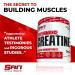 Buy SAN Performance Creatine 300g - Muscle Growth & Athletic Performance - 60 Servings | International Shipping Available - Buy Online on GoSupps.com