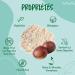 Organic Chestnut Flour - 500 gr. Gluten Free Chestnut Flour and Additives. Natural and Raw Chestnut Flour from Organic Chestn - Buy Online on GoSupps.com