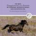 Annimally Monk Pepper Liquid for Horses 1000ml - Ashwagandha & Magnesium for Hormonal Restlessness & Rose Behavior - Liquid Alternative to Powder - Buy Online on GoSupps.com
