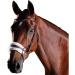 Collegiate ComFiTec Sheepskin Bridle - Black Cob | Premium Comfort for Equestrian Lovers | International Shipping Available - Buy Online on GoSupps.com