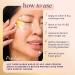 SpaLife Beauty Anti-Aging Under Eye Masks - 24K Gold Hydrogel Eye Patches for Fine Lines & Dullness - 24 Pairs Skincare Treatment - Buy Online on GoSupps.com
