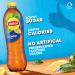 Lipton Ice Tea Lemon 1.25L (Pack of 2) - Buy Online on GoSupps.com