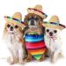 Dog Sombrero Hat & Bandana Set for Cinco De Mayo Fiesta - Multicolor Straw Mexican Hat and Pet Triangle Bib Costume - Buy Online on GoSupps.com