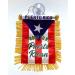Puerto Rico Car Flag Decals - Quality Mini Window Banners for Boricua PR Accessory - Buy Online on GoSupps.com