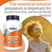 Now Foods Potassium Chloride Powder 227g - Lab-Tested, Gluten Free, Soy Free, Vegetarian - Buy Online on GoSupps.com