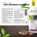 Raab Vitalfood OPC Extract Capsules - 90 Vegan & Gluten-Free Grape Seed Oligomeric Proanthocyanidins for Optimal Health - Buy Online on GoSupps.com