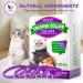 HRAMEX Calming Collar for Cats 4 Pack Cat Calming Collar Comforting pet Within 1 Hour Efficient Relieve Anxiety Stress Cat Pheromone Collar Cat Calming Collar for Anxiety Fit Most Size Cats - Buy Online on GoSupps.com